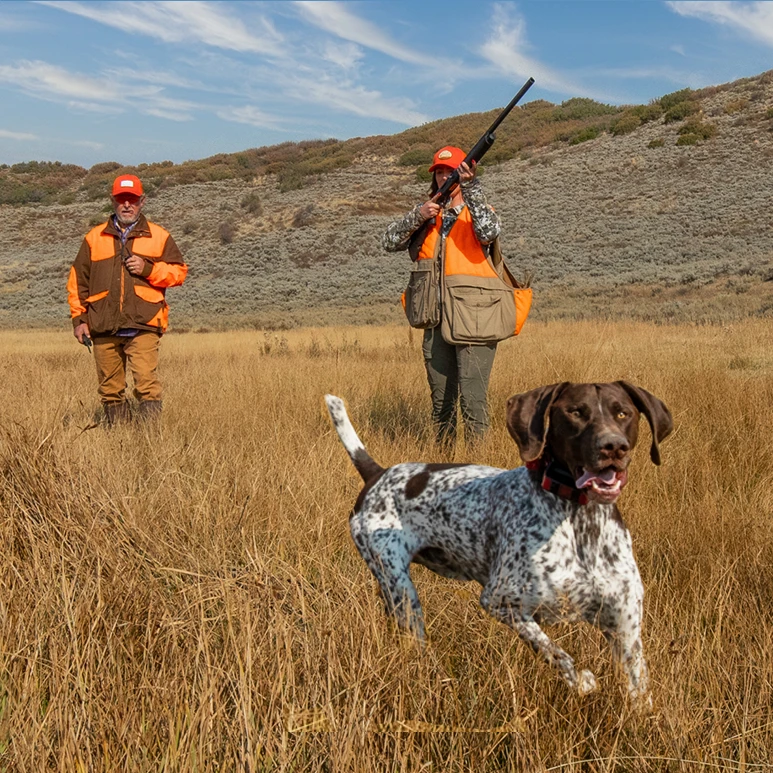 img-dog-hunt2